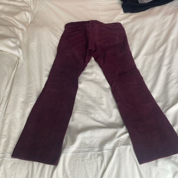 Plum corduroy pants - Picture 4 of 4